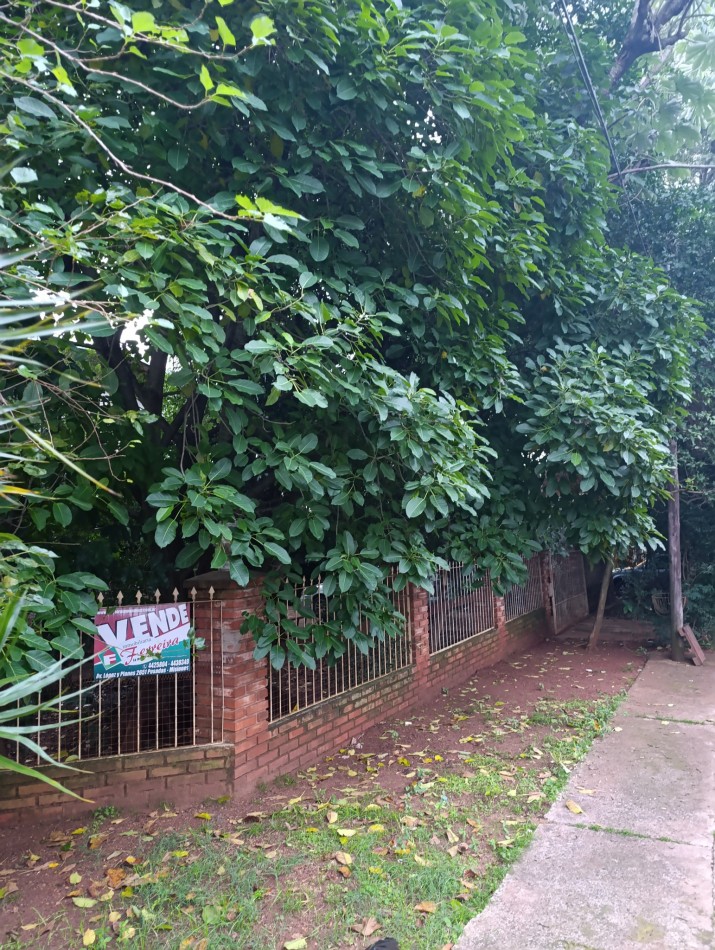 Casa dos plantas